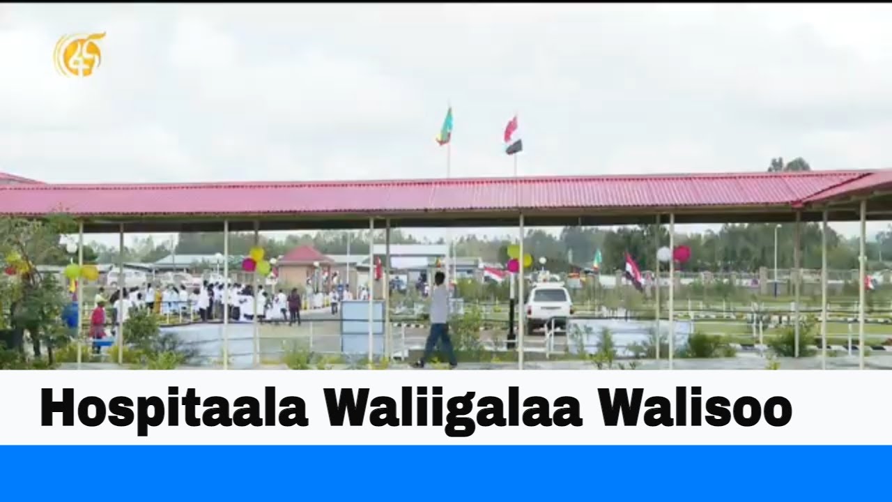 Hospitaala Waliigalaa Walisoo