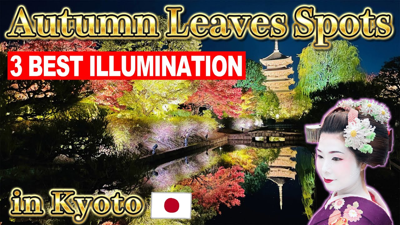 3 BEST ILLUMINATION for autumn leaves in Kyoto Japan