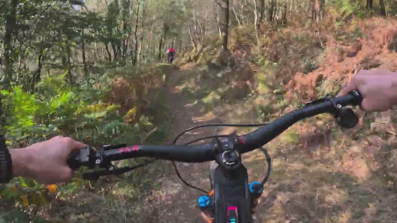 Cwmcarn Forest MTB - Twrch Trail - Dragon&rsquo;s Tongue - Full Run - 01 02 2025