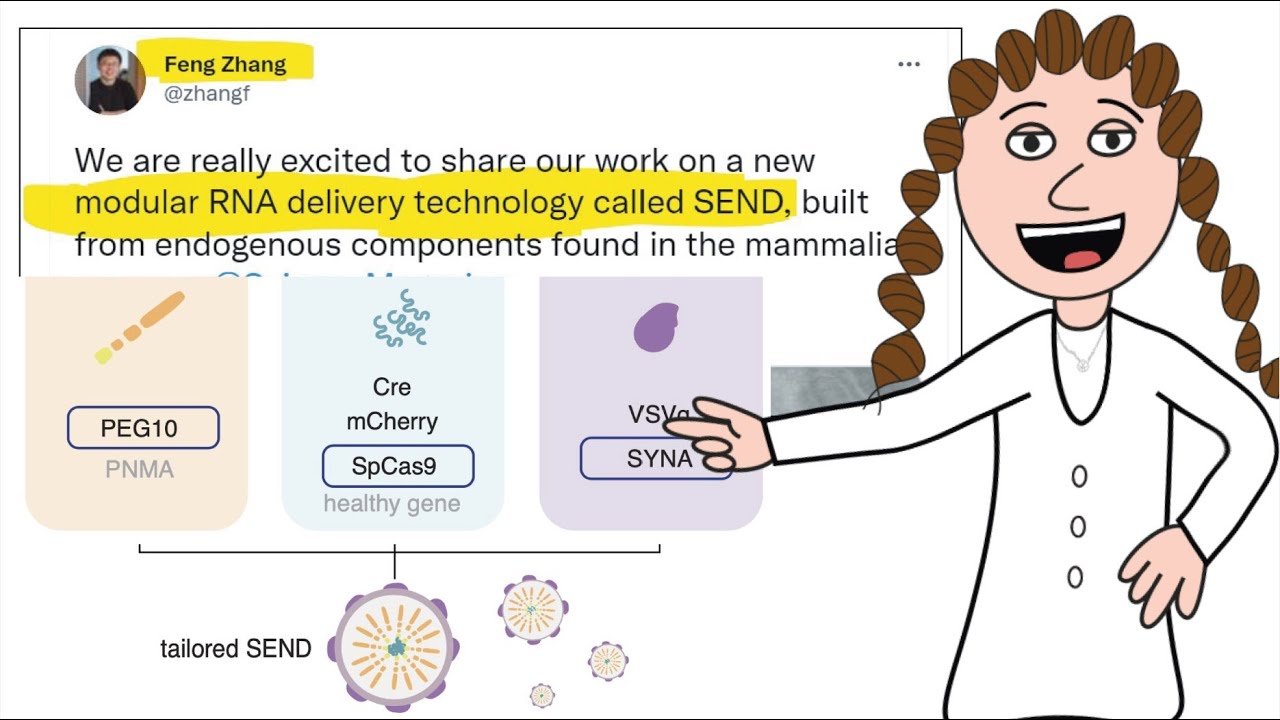 SENDing CRISPR & other RNA tools into cells