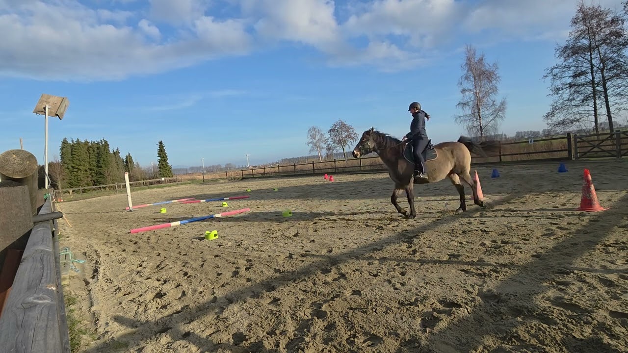 Equi-feel Virtuel CavalGo2026 - Blandine & Johiryn- Manche 2-  Montée 2