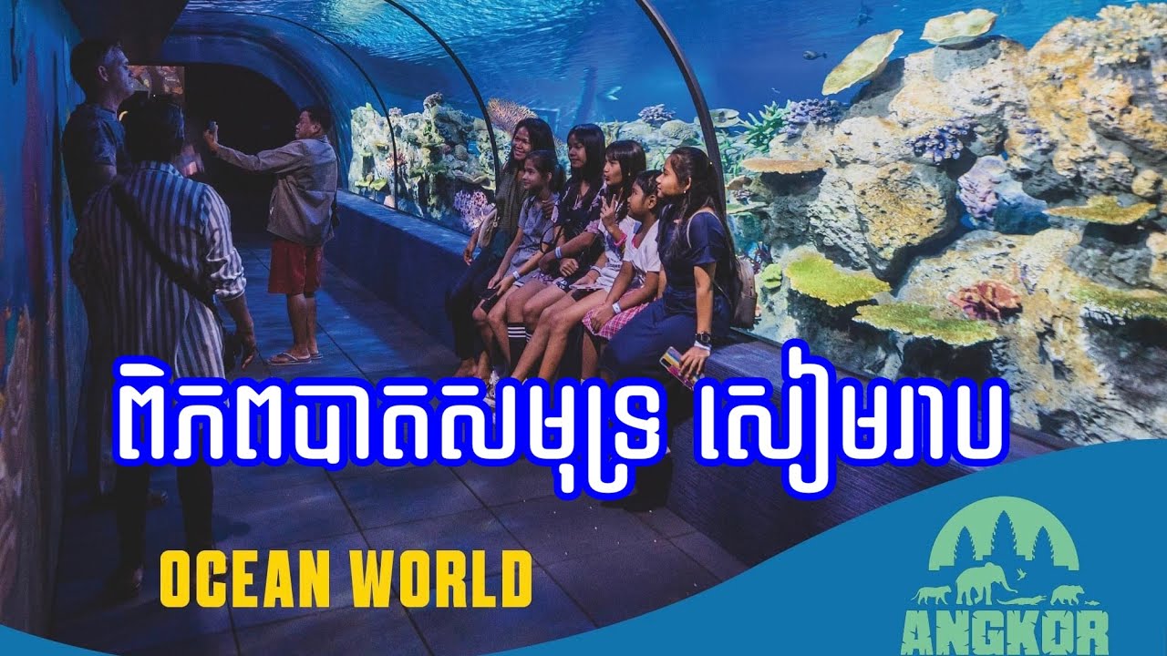 ពិភពបាតសមុទ្រសៀមរាប ANGKOR WILDLIFE & AQUARIUM