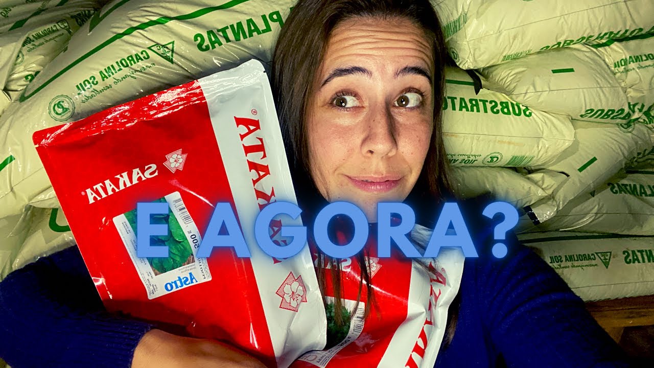 A ORGANIZAÇÃO DE UM VIVEIRO EM 5 ETAPAS