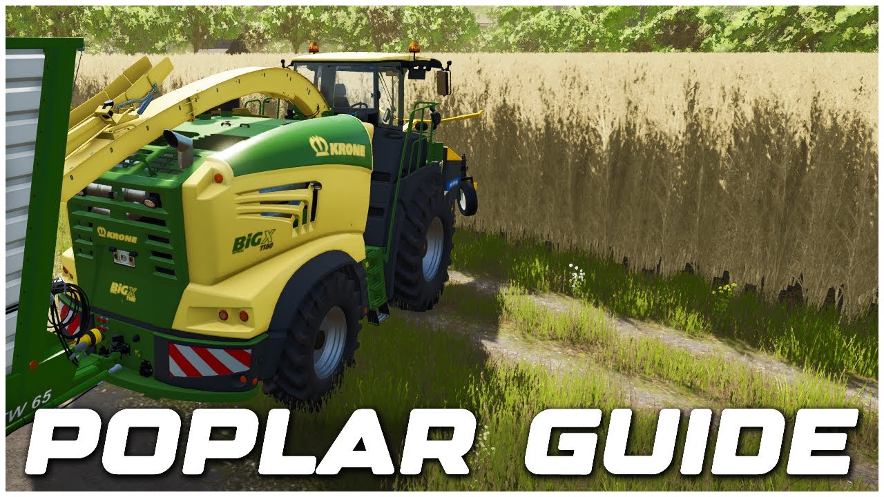 Farming Simulator 25: Как вырастить тополь (Полное руководство)