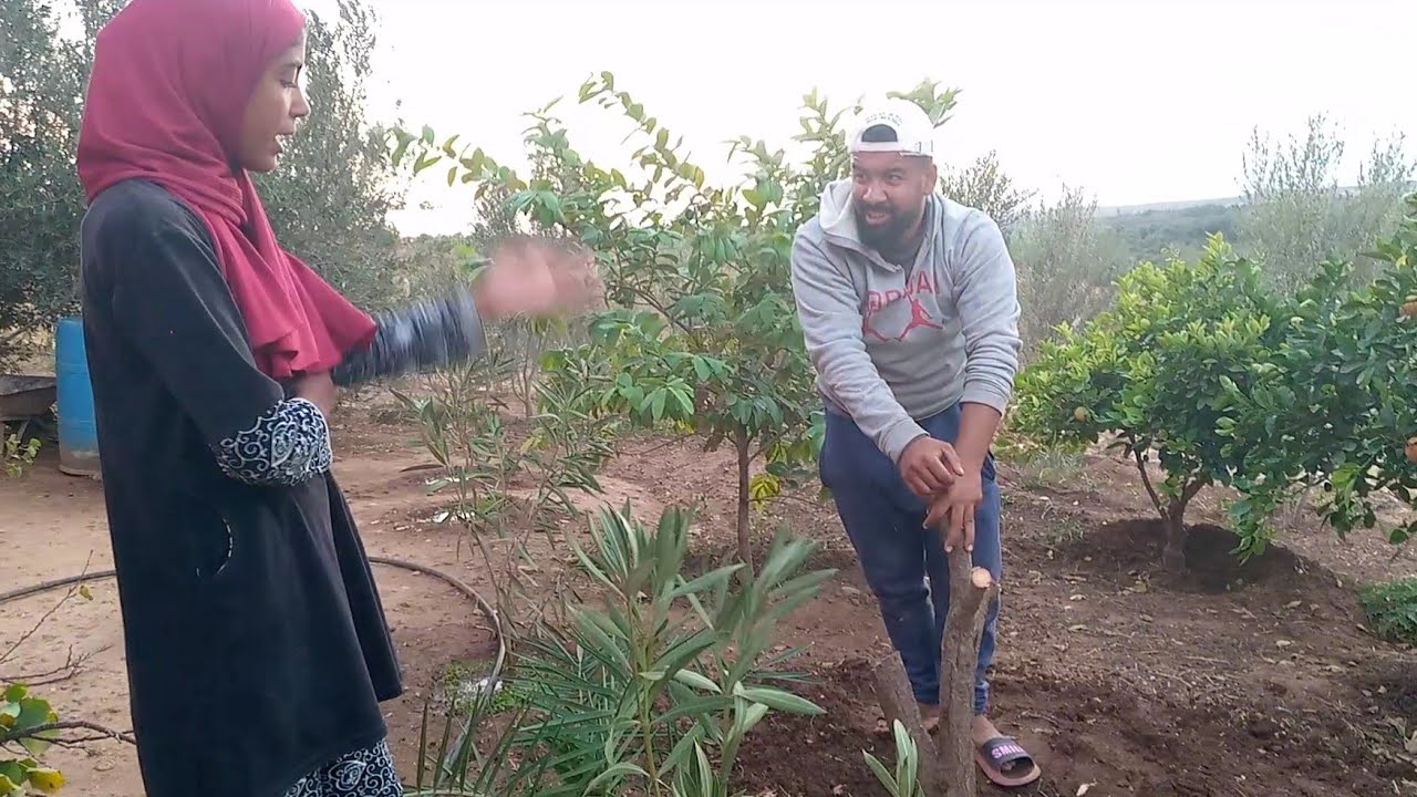 دخل  تشوفو أش طاري 🤔🤗🤣