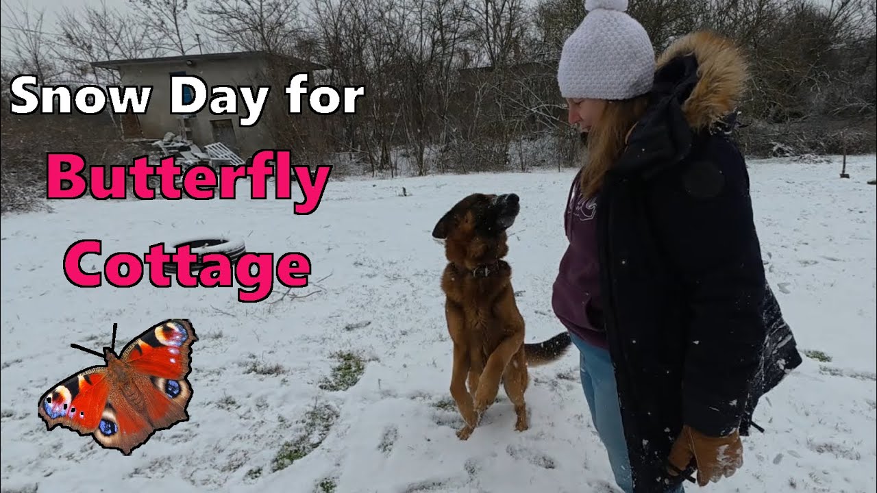 Snow Day in Bulgaria: Fun with Dogs & Cozy Times by the Log Fire!