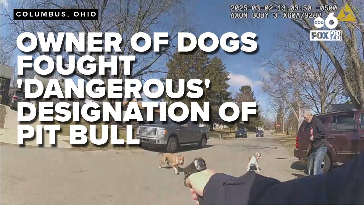Owner of dogs in Columbus attack fought 'dangerous' designation of pit bull