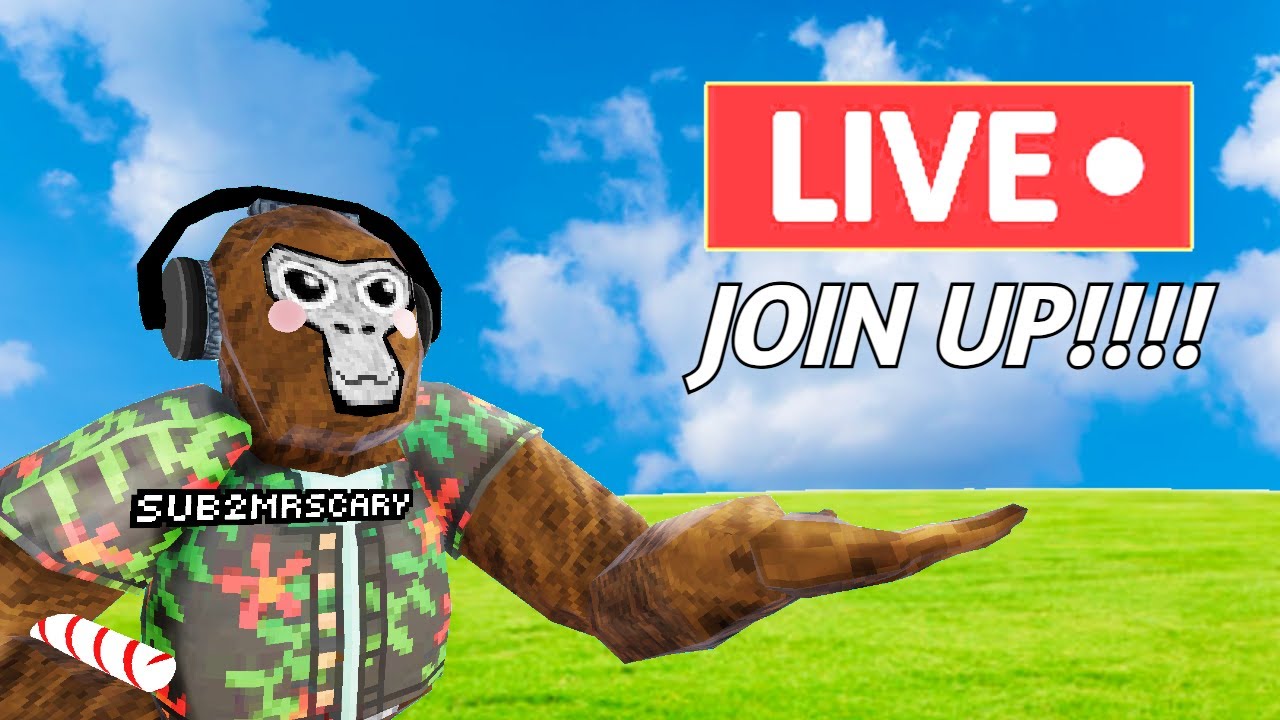 Playing Gtag With You!!! road to 1.8k