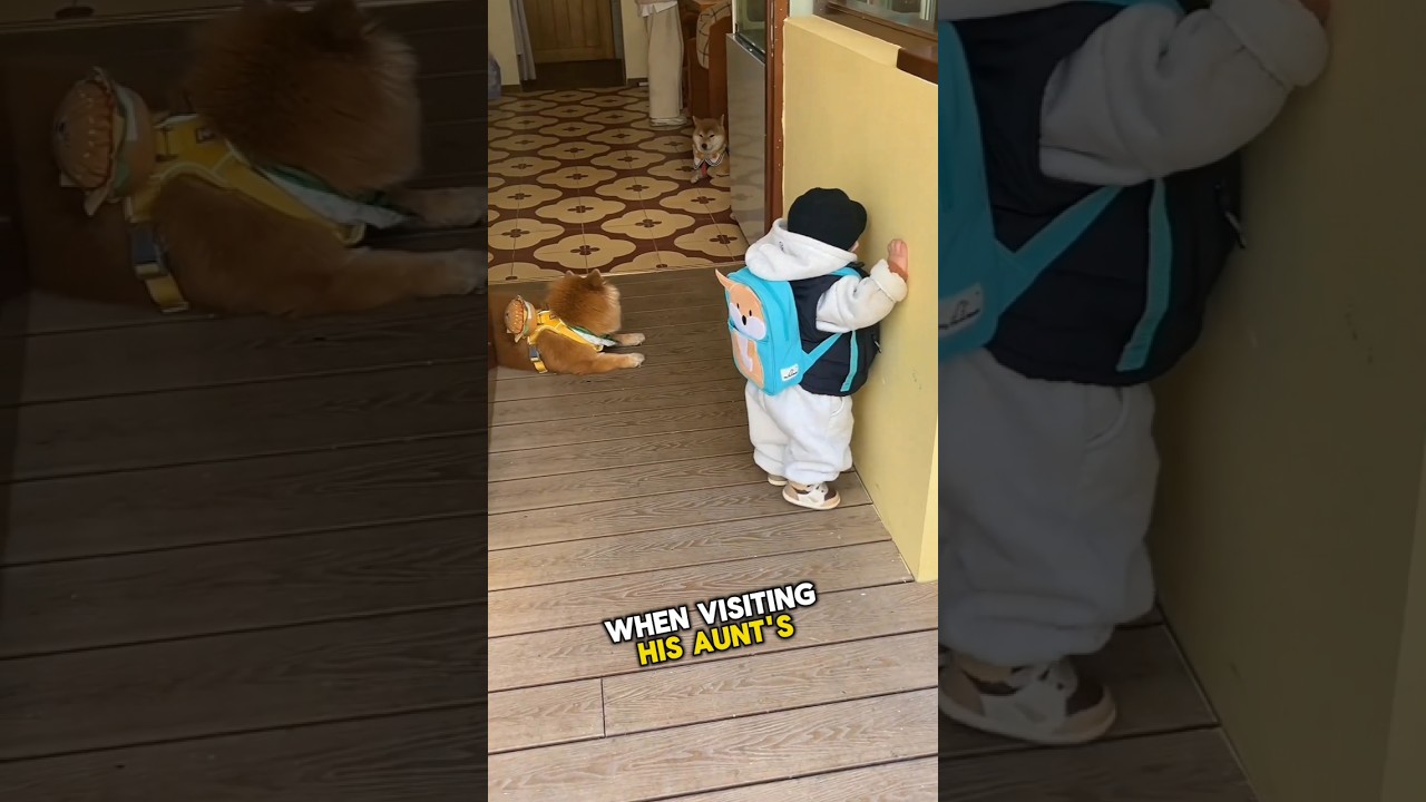 Этот малыш решил проблему самым милым способом 🥰