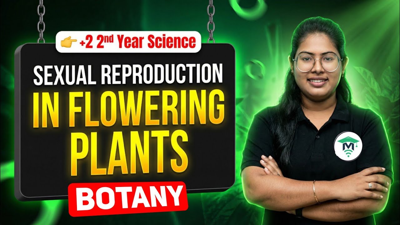 Sexual Reproduction In Flowering Plants | Class 12 Botany Chapter1 | +2 2nd year science chse odisha