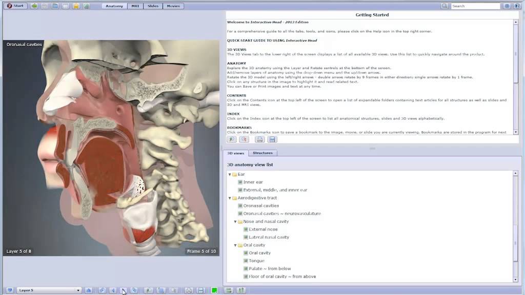 Primal’s 3D Atlas of Human Anatomy