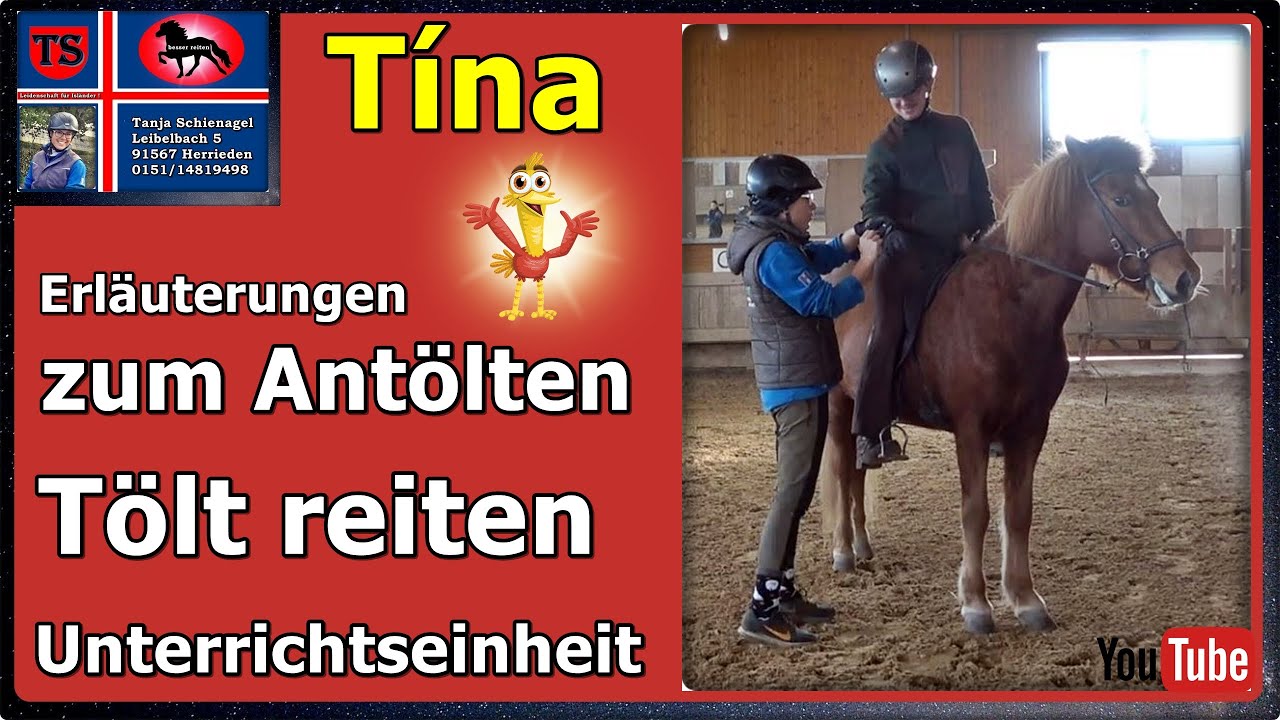 Tina, Pferdetraining, Tipps aus Unterricht, Tölt reiten, antölten, Tanja Schienagel