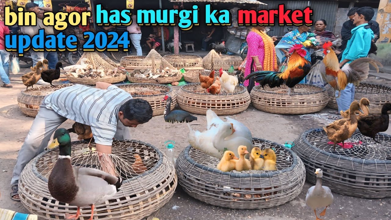 shukrawar#binagar pet#market@update 2024