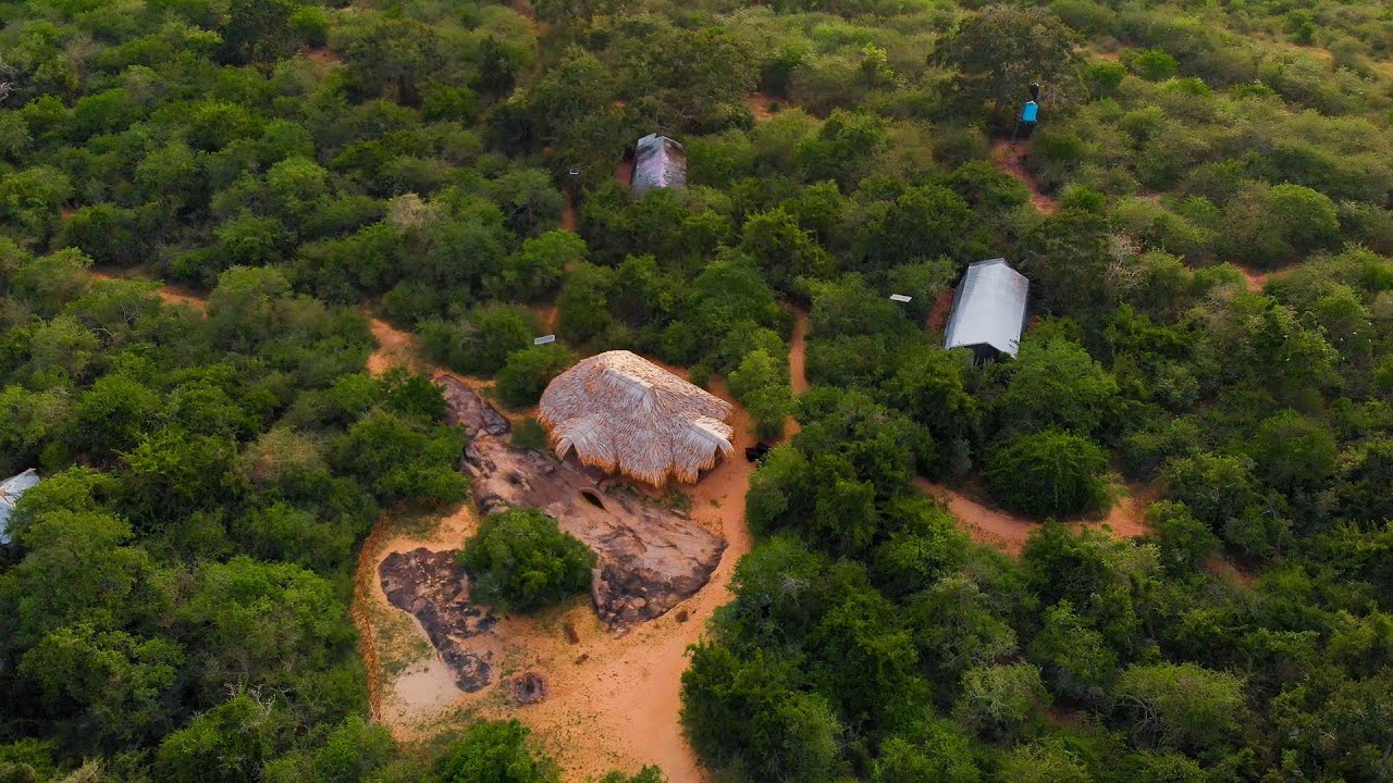 Tribe Yala - Tame the Wilderness with Elegance