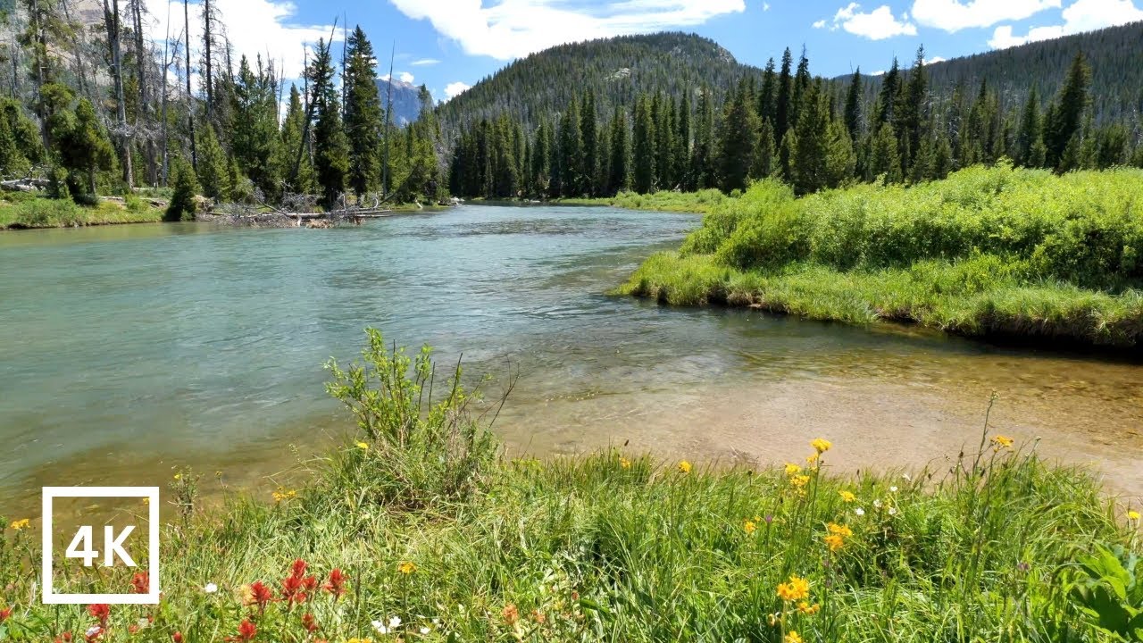 Remote Mountain Rivers | Wind River Range | Nature Scene for Relaxing | Forest River Nature Sounds