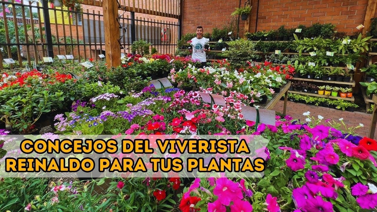 TOUR por vivero Tierra Negra: los mejores consejos VIVERISTAS para cuidar tus PLANTAS | AP #plants