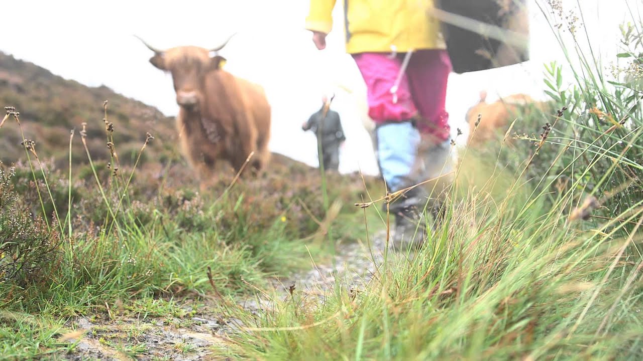 The Droving Project