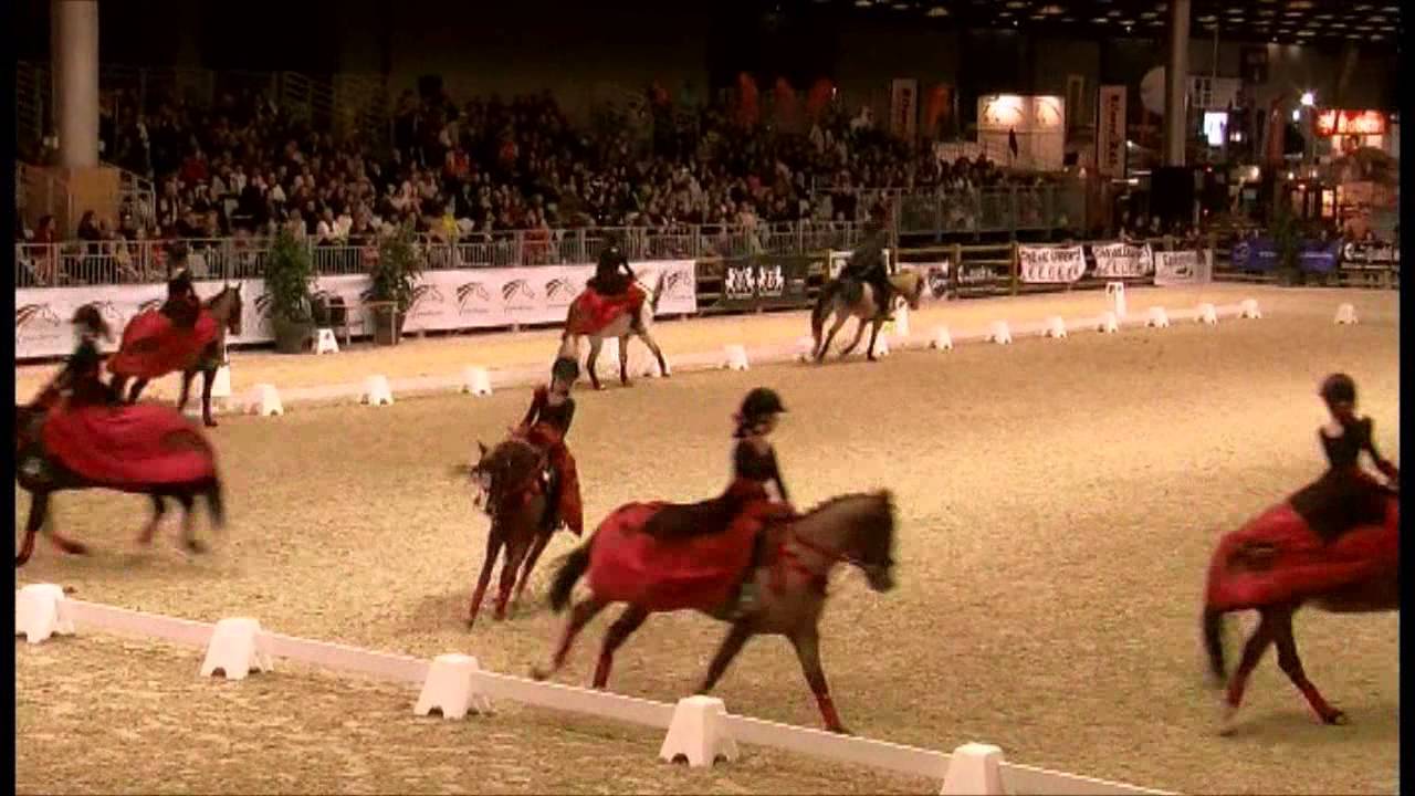 Carrousel Salon du Cheval 2012