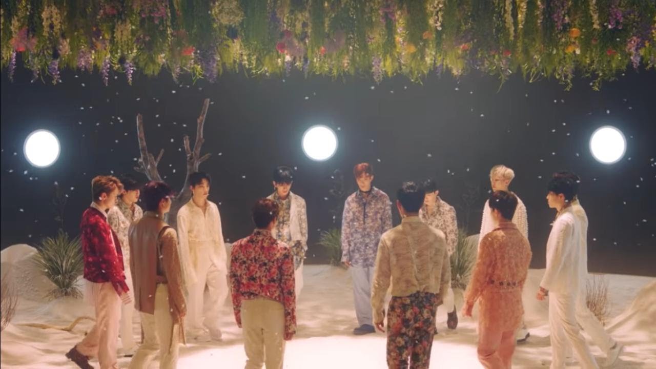 SEVENTEEN (세븐틴) fleeting