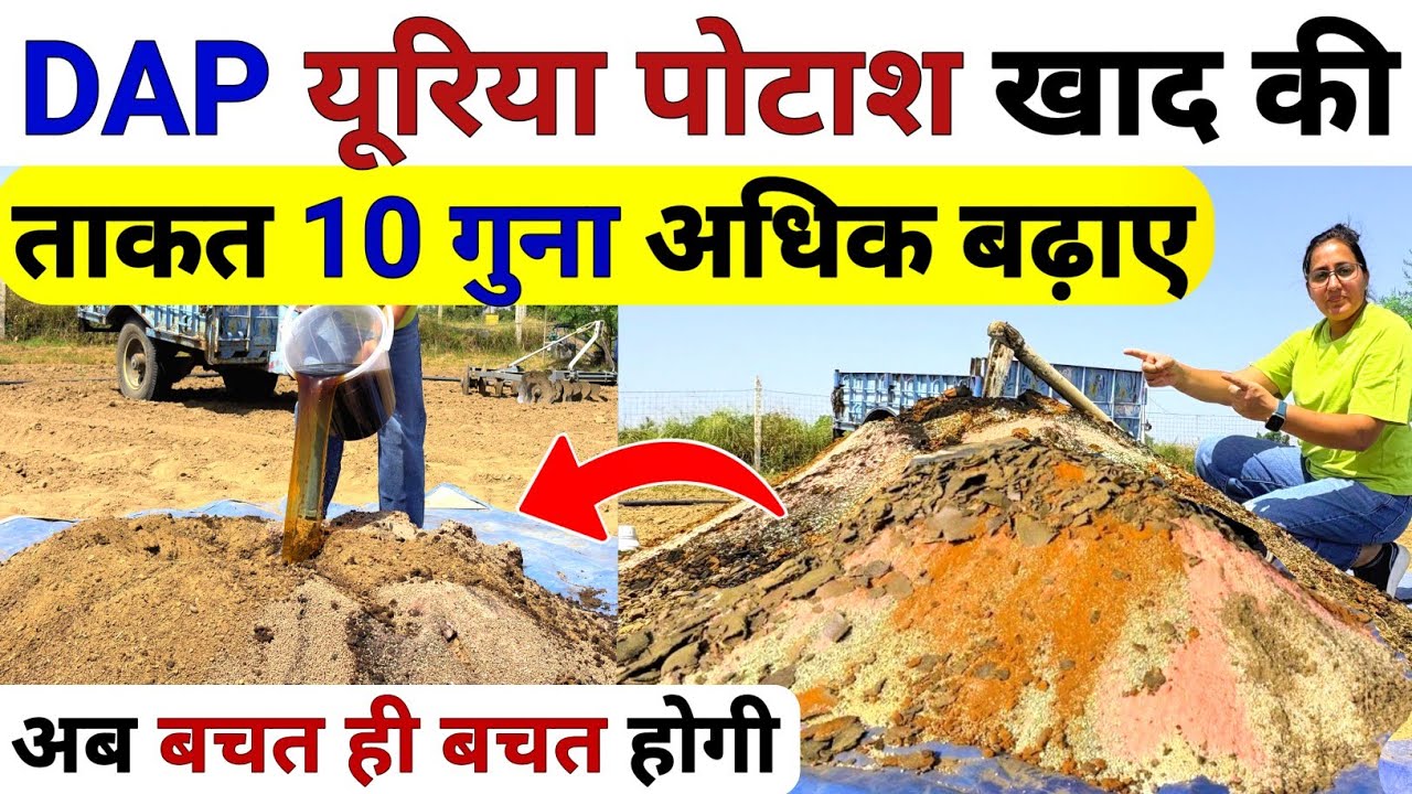 DAP यूरिया Potash खाद की ताकत 10गुना अधिक बढ़ाए | Bhatti khad kaise banaye | DAP Urea MOP fertilizer