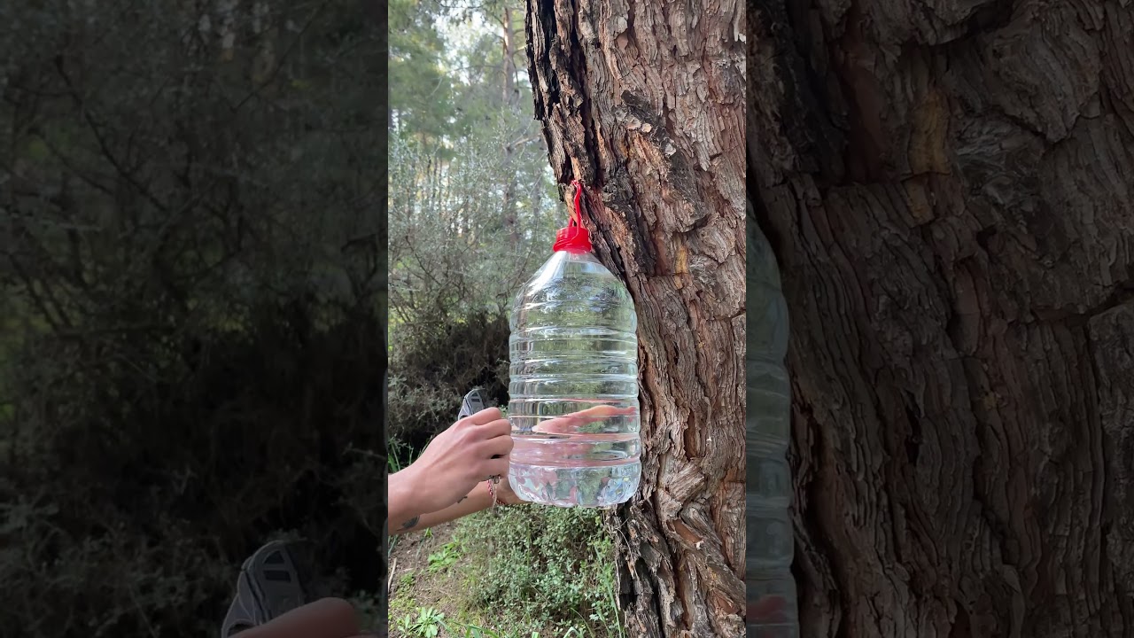 Kampta Pratik Musluk Yapımı! #camping