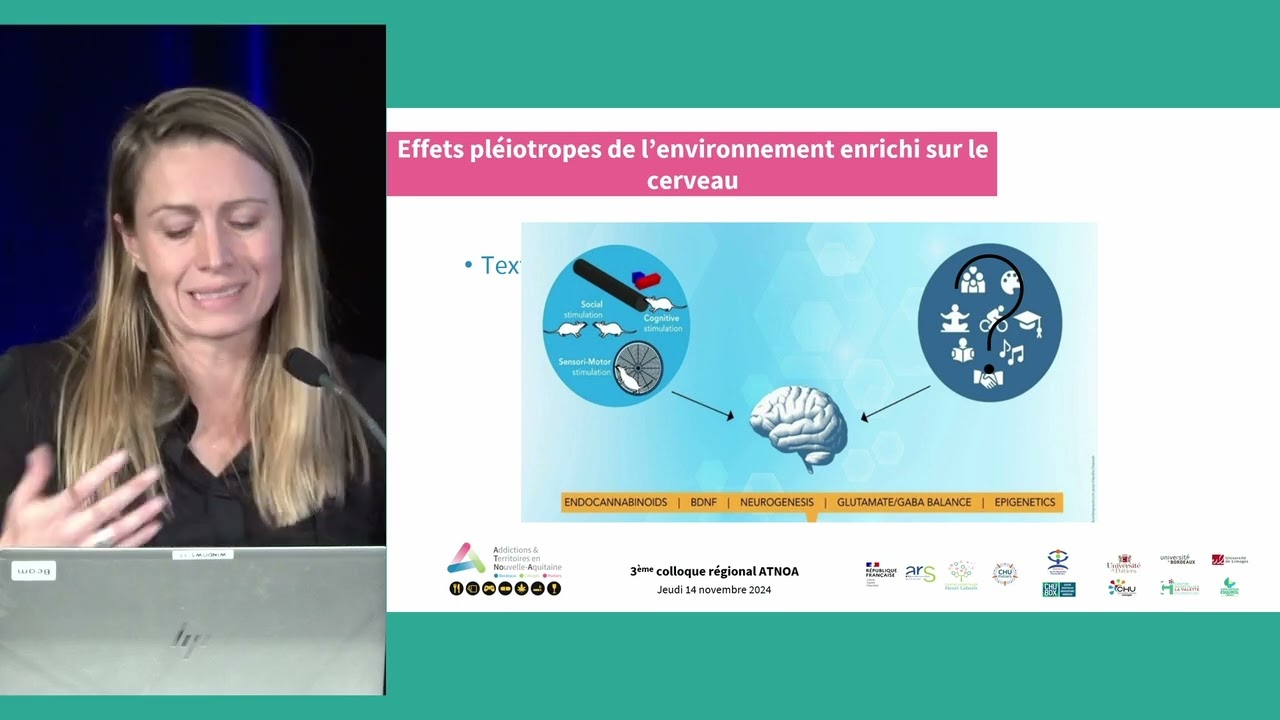 Troubles cognitifs et addiction