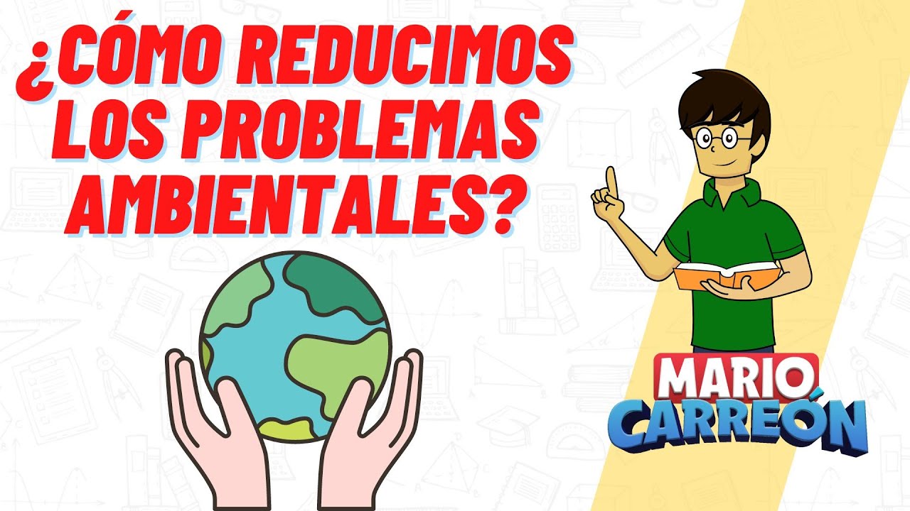 &iquest;C&oacute;mo reducimos los problemas ambientales?