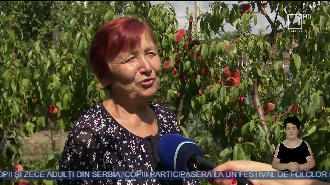 Doi pensionari din satul Bravicea au dezvoltat o afacere în agricultură
