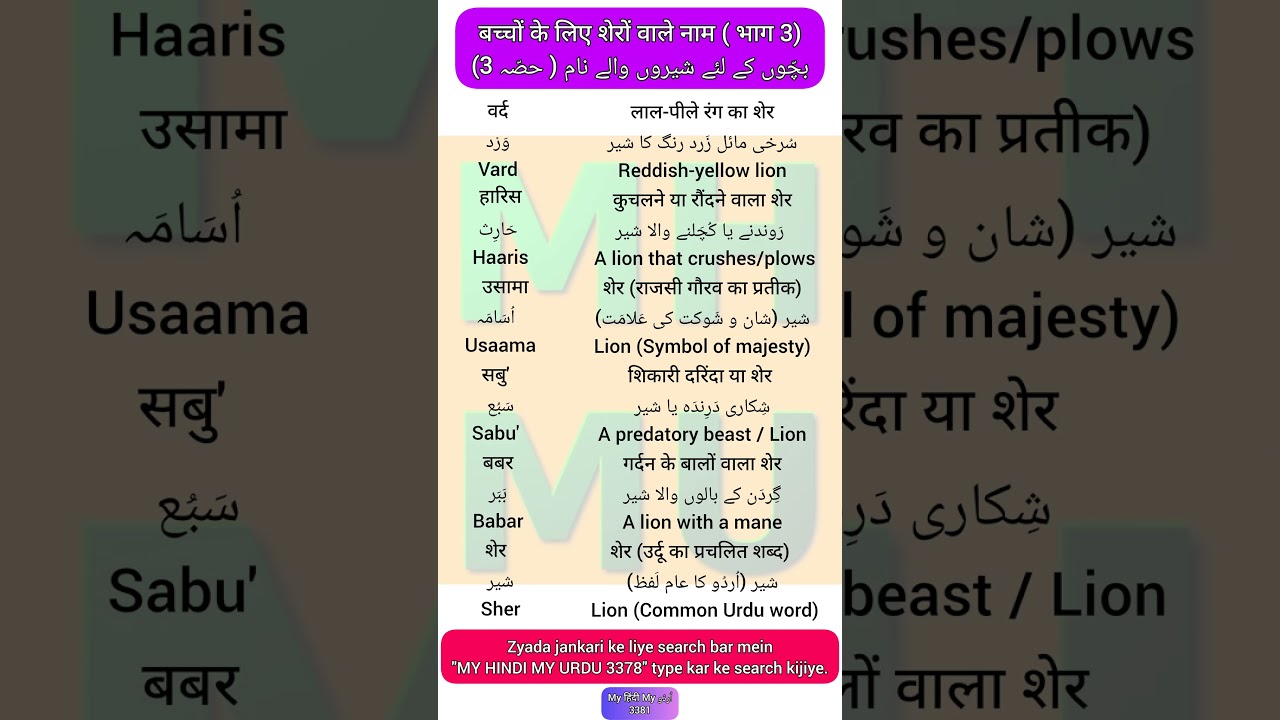 Urdu Dictionary 3381 | Sabu | Babar | Sher | Haris | Usama | Vard | MHMU
