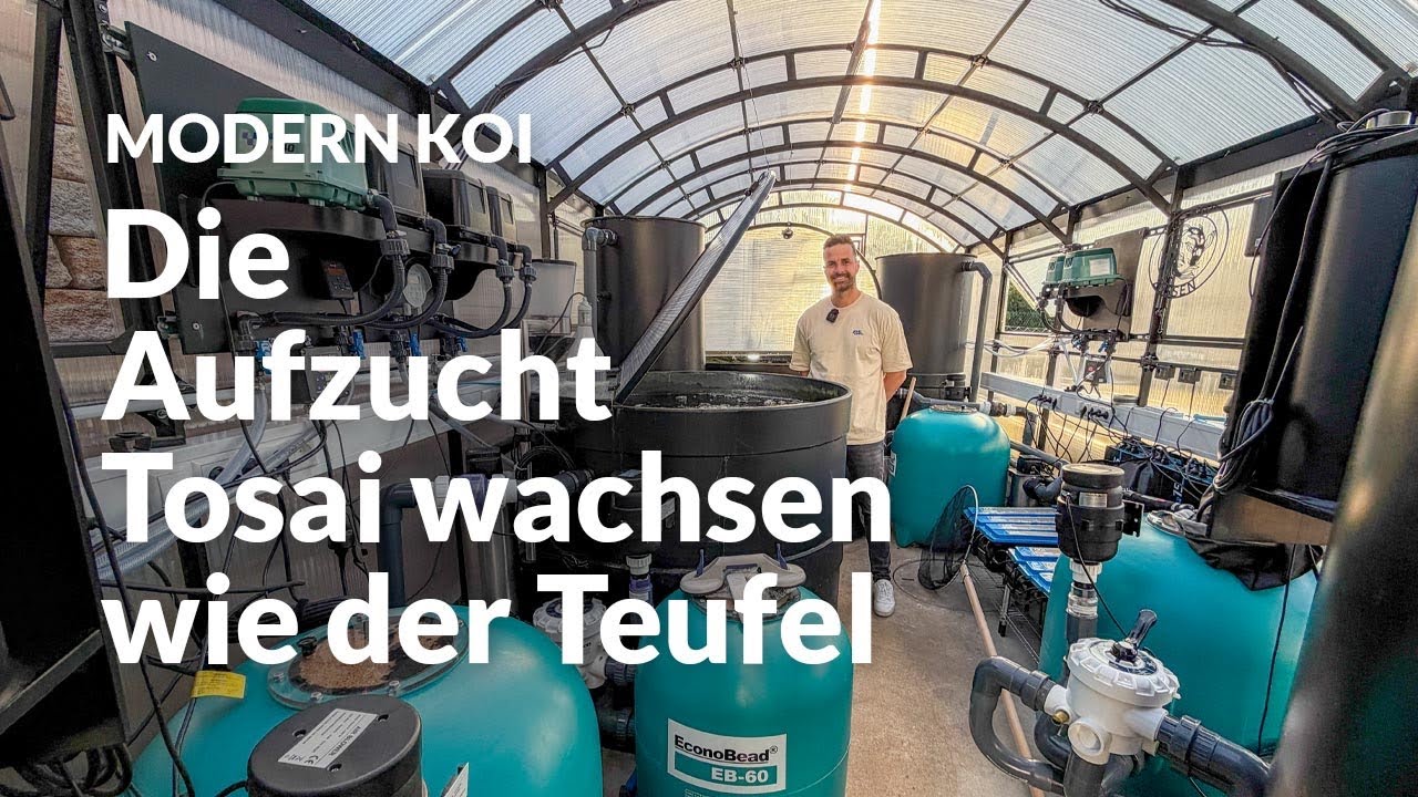 Die Innenh&auml;lterungen bei Koi Zossen | Modern Koi Blog #7985