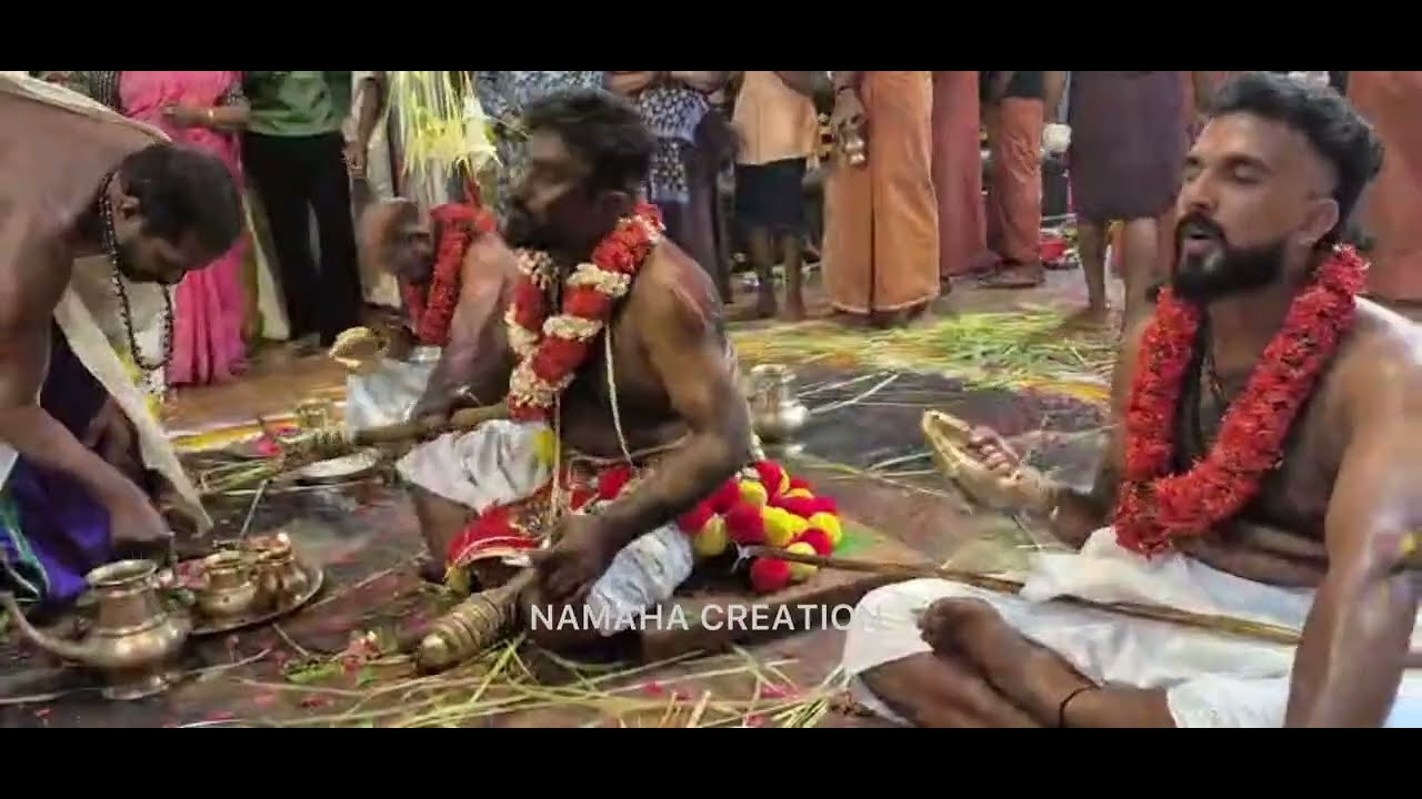 കരിങ്കുട്ടി സ്വാമി തുള്ളൽ ✨✨കൂടെ ഘണ്ടാകർണ്ണൻസ്വാമി മുത്തുസ്വാമി രാമൻ കിട്ടു മുത്തപ്പന്മാർ തുള്ളൽ ✨✨✨