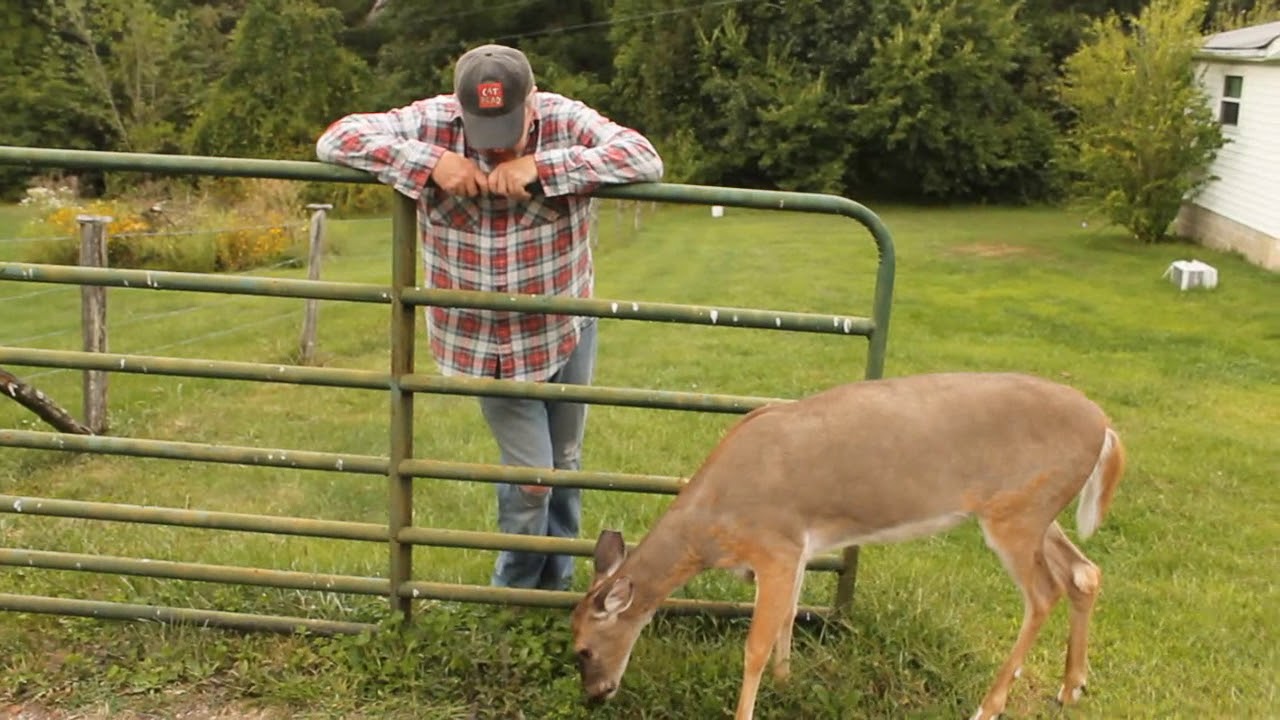 Mel Besher - Backwoods Man