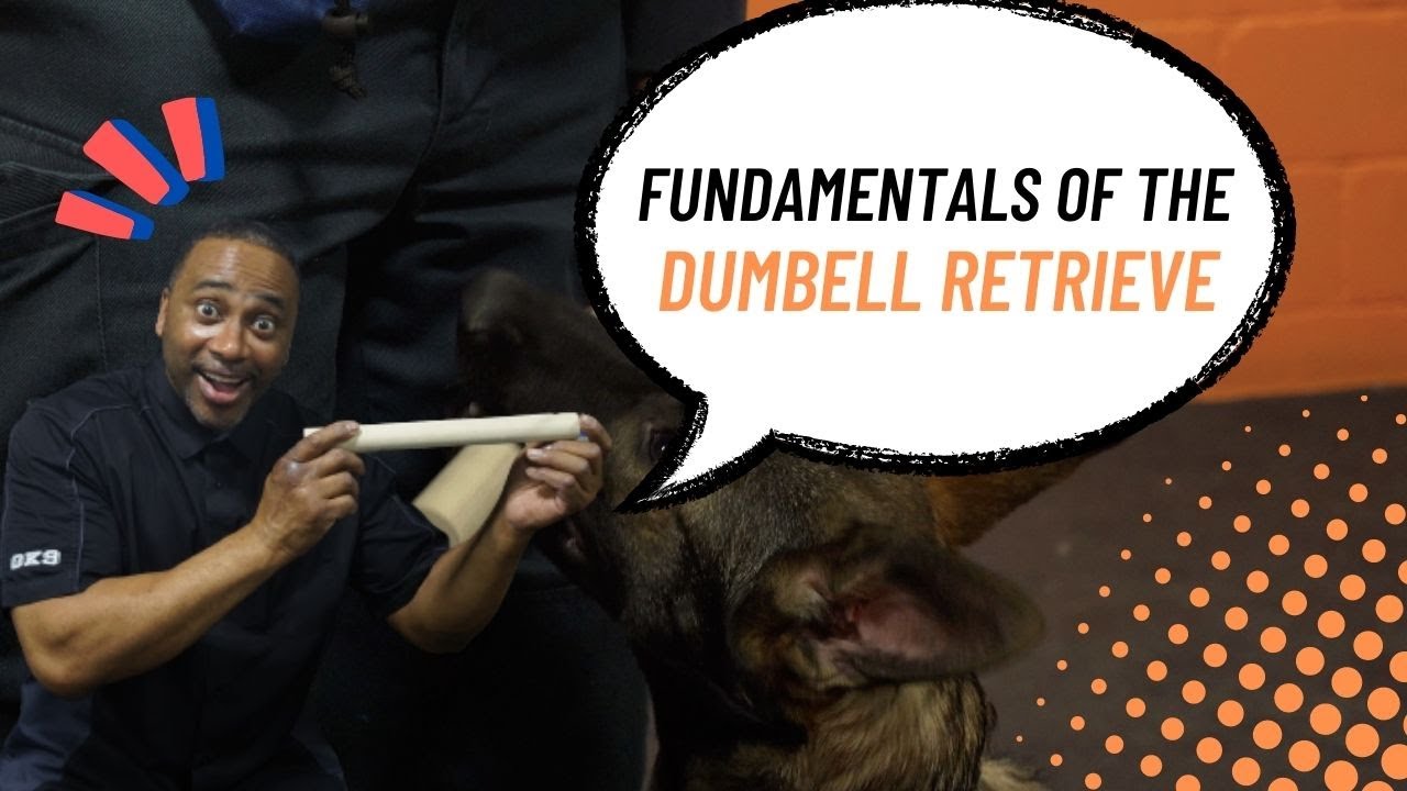 Fundamentals to the dumbbell retrieve