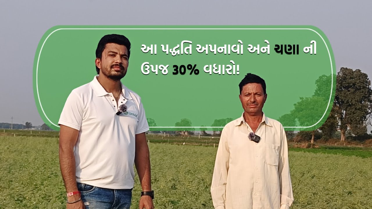 🧠 સ્માર્ટ ખેડૂતોએ અપનાવી આ પદ્ધતિ #gram #ચણા #ખેતી