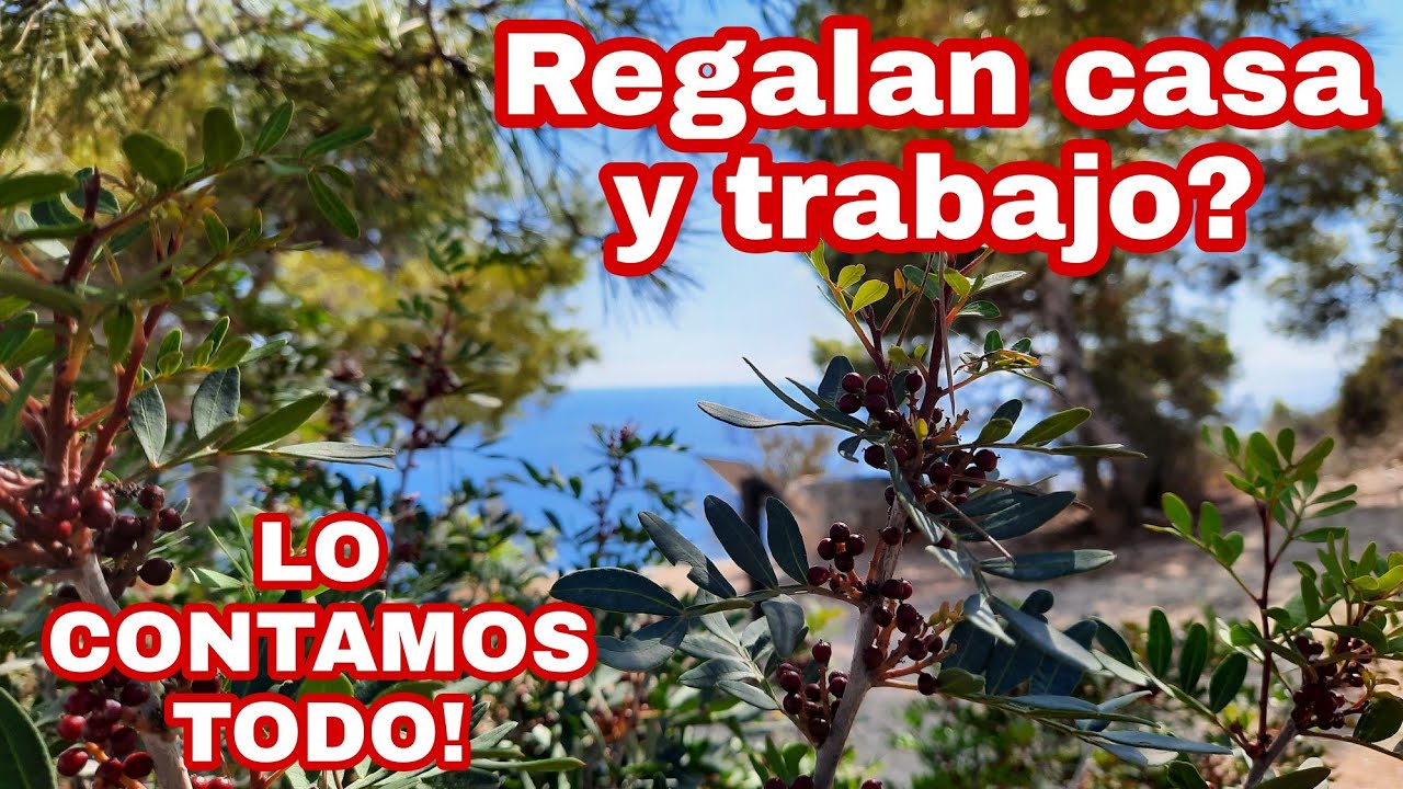 Pueblos en España ofrecen trabajo y casa, TODA LA VERDAD! #españa #pueblo #emigrar
