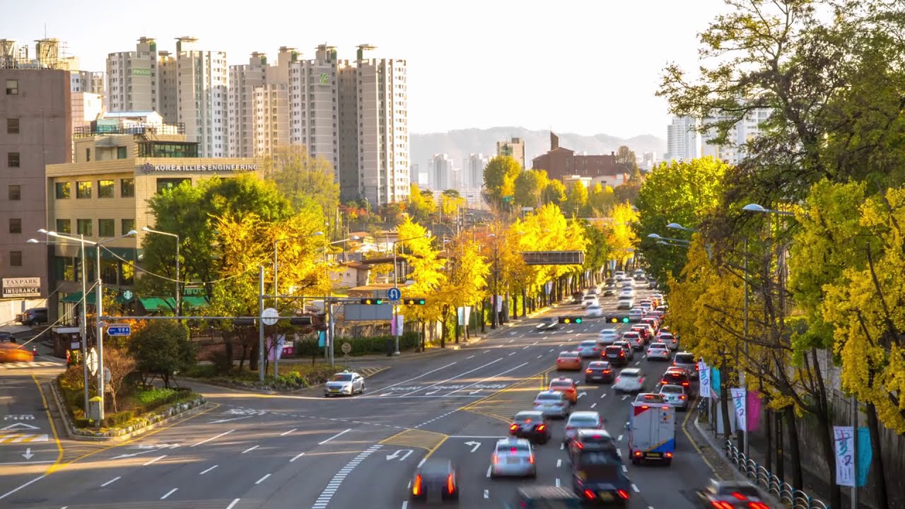 Time Lapse Traffic | Copyright Free Video Footage