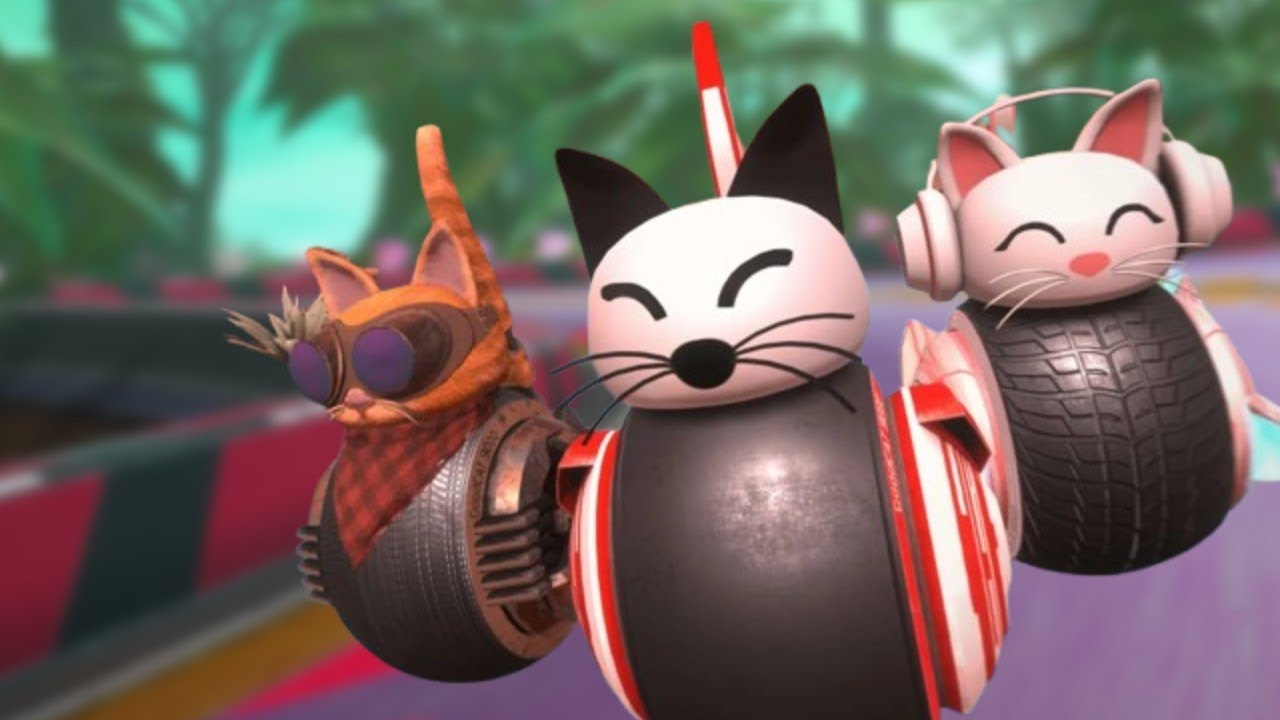 Rolling around at the speed of cat | Rollcats
