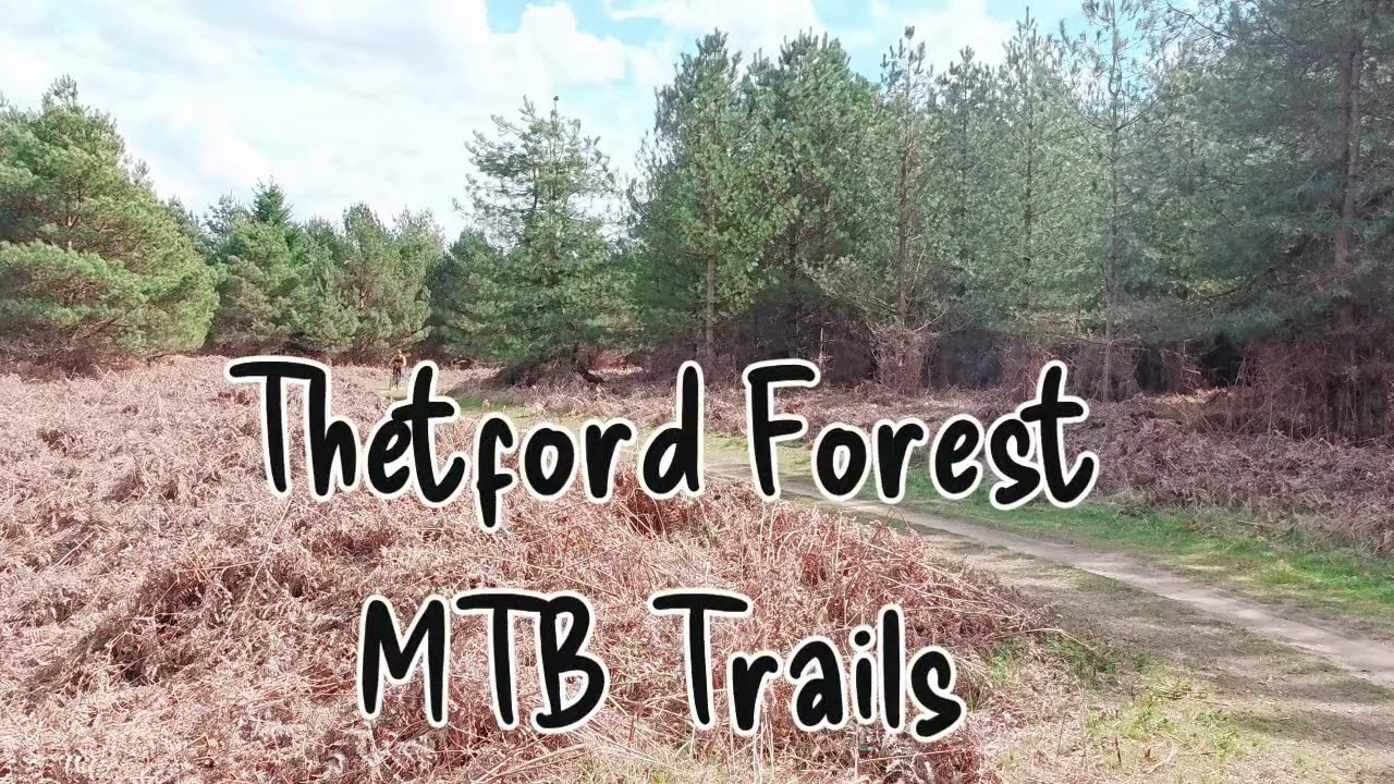 Thetford Forest, High Lodge MTB Trails