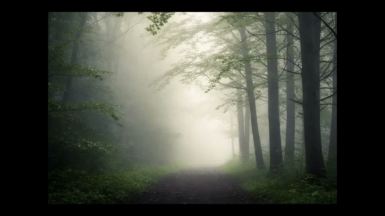 Reading 1 - 1.17.26 -   Copy of a Copy -  Akashic Records Channeled Series on the Ego