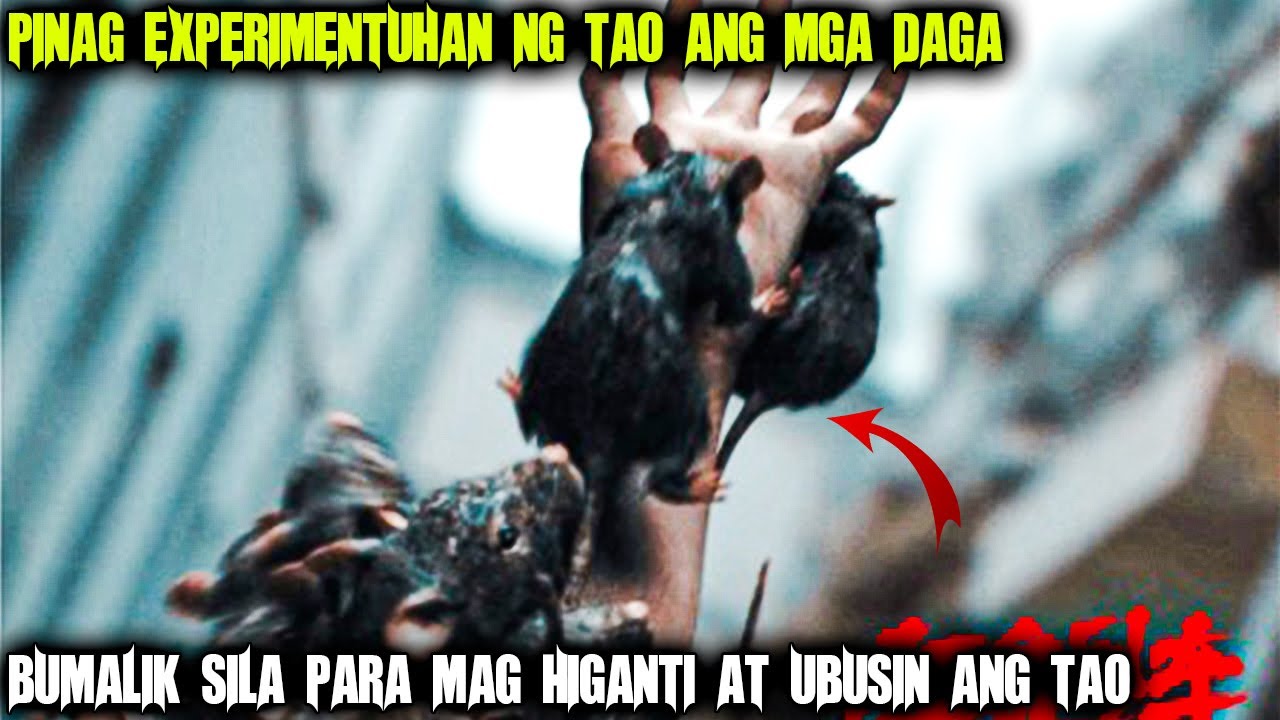 Pinag Laruan Ng Tao Ang Mga Daga Kaya Naghiganti Sila Sa Sanlibutan Para Ubusin Ang Tao