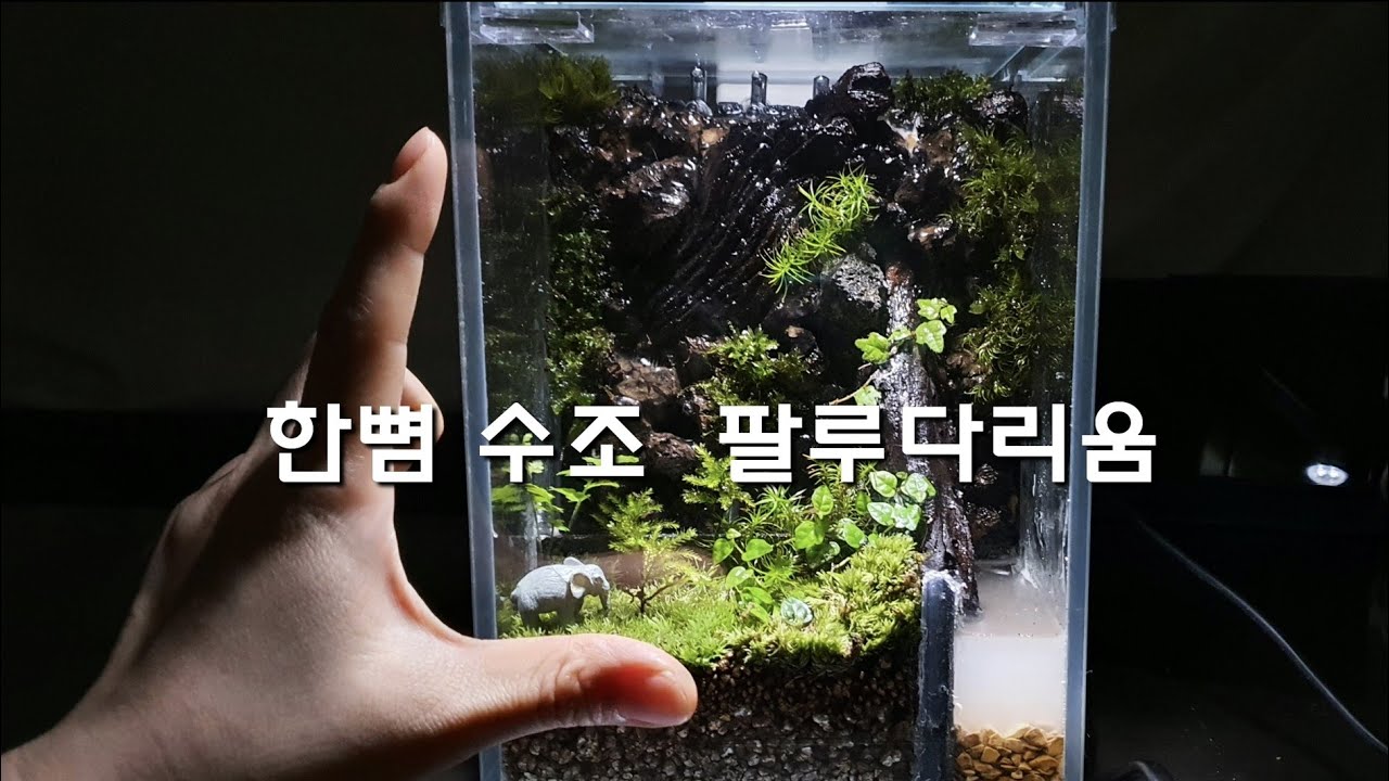 한뼘 수조 팔루다리움Making a One-Hand Paludarium