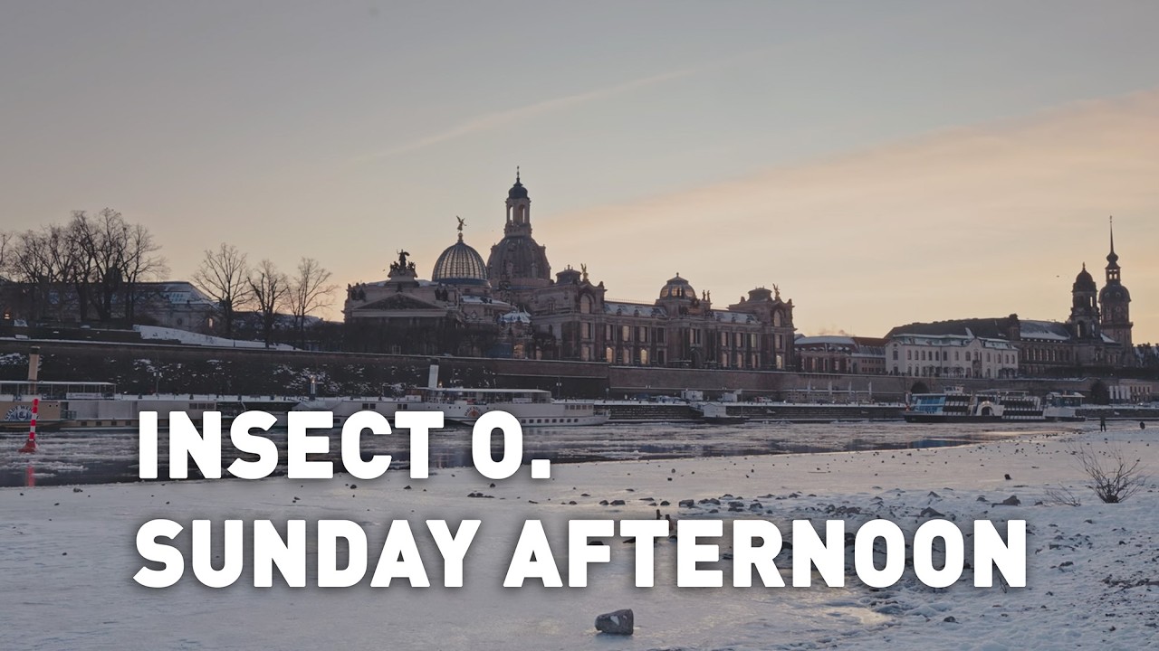 Insect O. - Sunday Afternoon