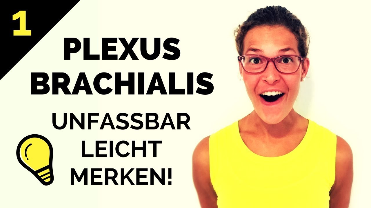 Plexus brachialis lernen: So merkst du ihn dir! - Geniale Eselsbrücken & Gedächtnispalast (1/2)