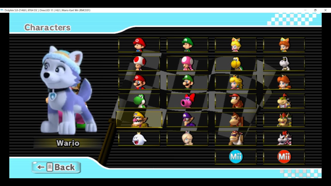 Everest from Paw Patrol in Mario Kart Wii [Emulated in Dolphin]