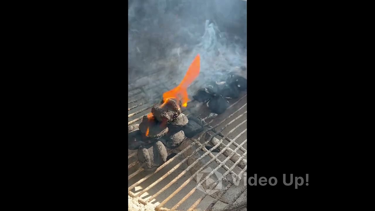 Boomer likes his Kingsford. One on one battle with Kirkland brand charcoal