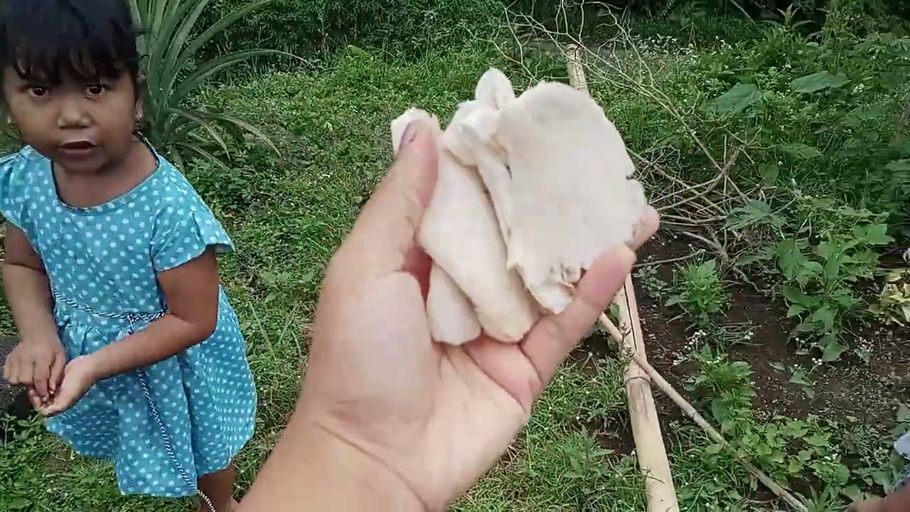 Suasana desa