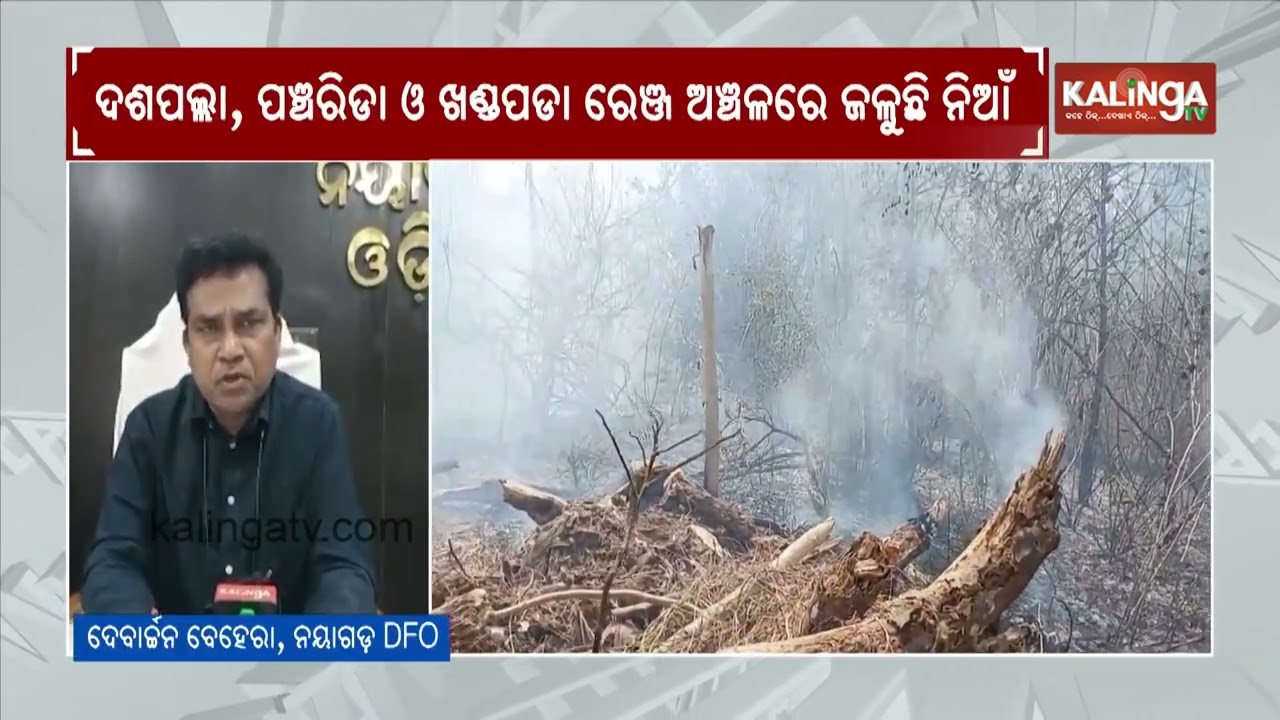 Fire breaks out at several forests in Nayagrah amid rising heat wave | Kalinga TV