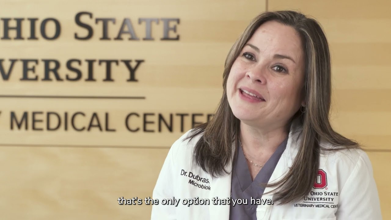 Last resort antimicrobials: When and how to use them responsibly