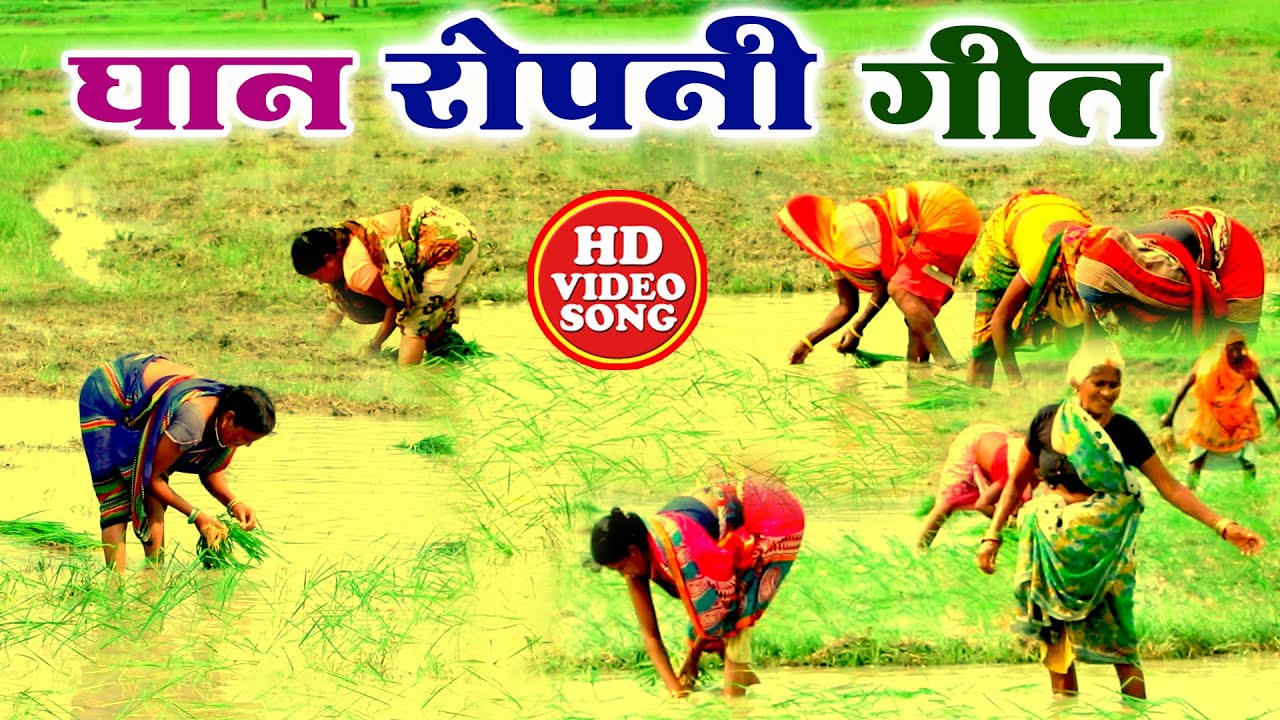 धान रोपनी गीत || Paramparik Ropni Geet || Anshu Priya Bhojpuri Ropni Geet Video