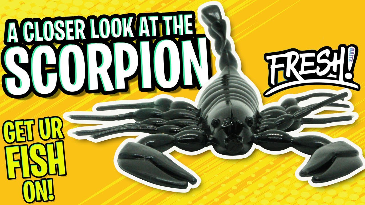 Сможет ли ПРИМАНКА-СКОРПИОН поймать БАССА? Мягкая пластиковая приманка Fresh Baitz Scorpion